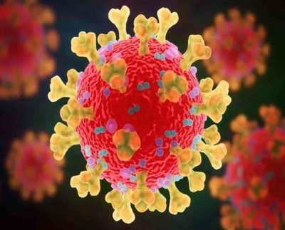 Coronavirus regarding healthy foods that can impact COVID-19 patient risks, as per study