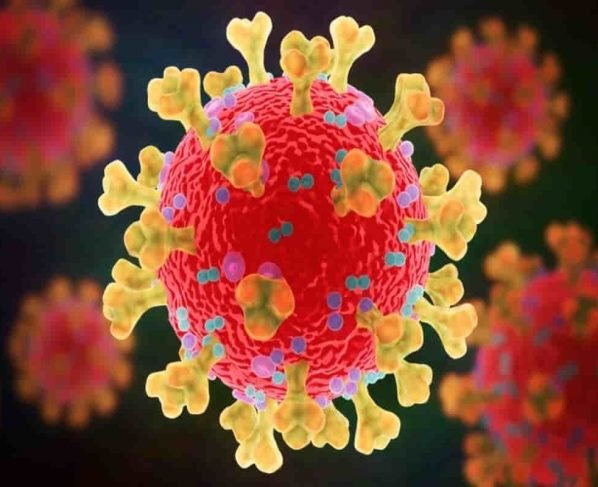Coronavirus regarding healthy foods that can impact COVID-19 patient risks, as per study