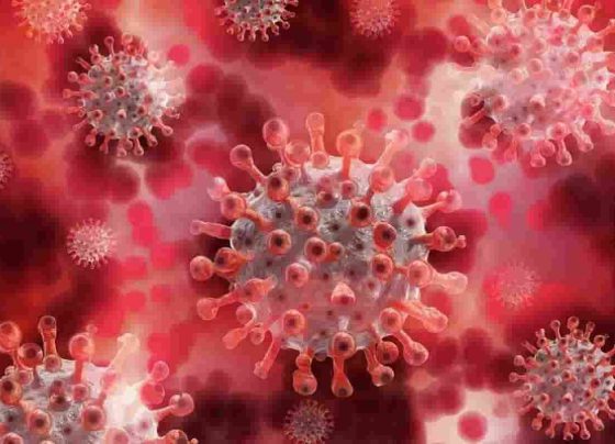 Coronavirus live update: India recorded 34,457 new Covid-19 cases 540 deaths– Last 24 hours