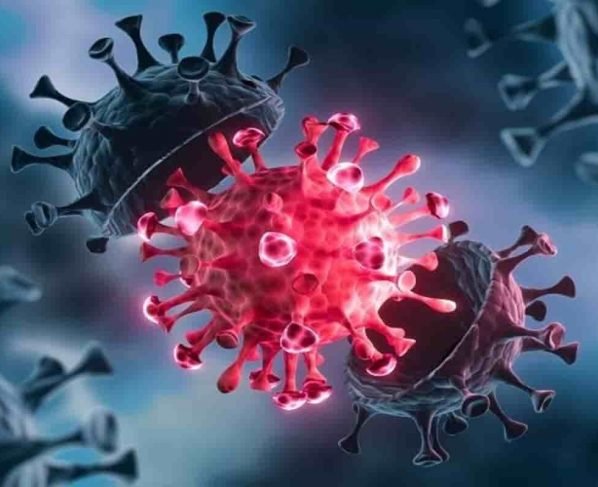 Breaking news: Bangalore reported 499 children tested positive from Coronavirus- In the last ten days