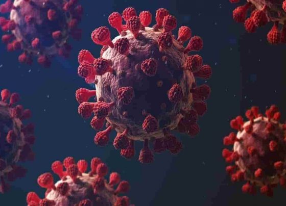 Coronavirus live update India recorded 42,982 new Covid -19 cases, 533 death – Last 24 hours