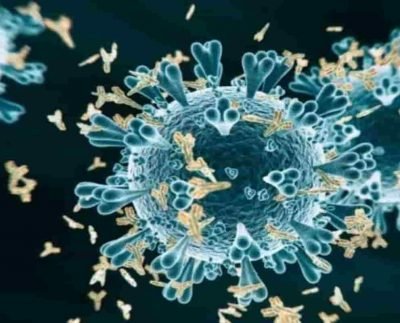 Coronavirus live update: India recorded 28,304 new Covid -19 cases, 373 deaths– Last 24 hours
