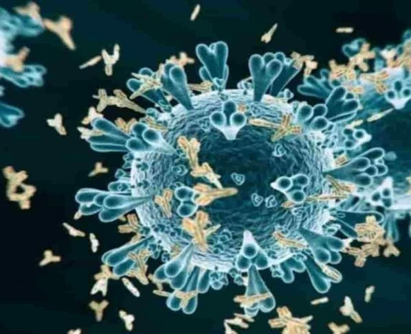 Coronavirus live update: India recorded 28,304 new Covid -19 cases, 373 deaths– Last 24 hours