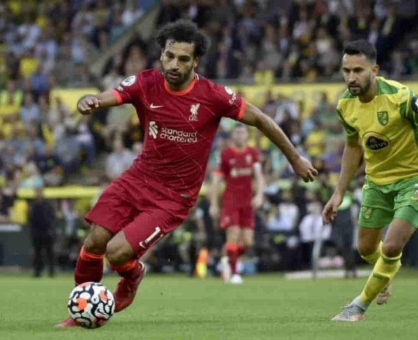 Gabon vs Egypt Live Streaming, Live Score, Team Prediction, Lineups, Kick-off Time: 2022 FIFA World Cup Qualifiers – CAF