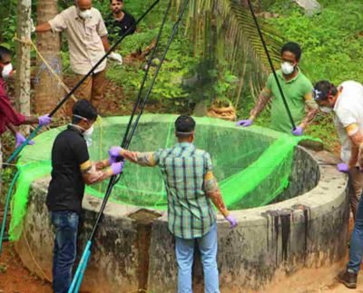 Nipah virus cases increased in states: Know more details below-