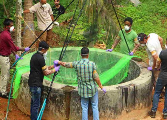 Nipah virus cases increased in states: Know more details below-