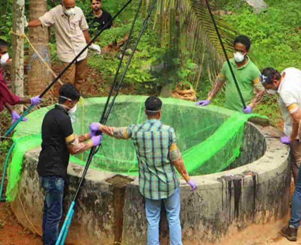 Nipah virus cases increased in states: Know more details below-