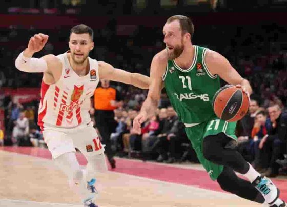 Crvena Zvezda mts Belgrade vs Zalgiris Kaunas LIVE Streaming, BEL vs ZAL Dream11 Team Prediction, Lineups: Basketball Euro League 2021
