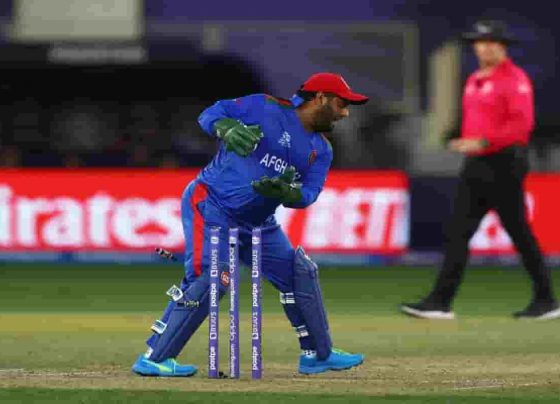 AFG vs NAM Dream11 Team Prediction, Afghanistan vs Namibia Live Streaming, Today Cricket Match Fantasy Tips, Playing XI: ICC T20 World Cup 2021