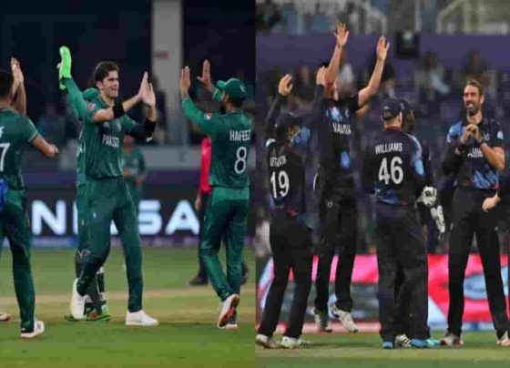 PAK vs NAM Dream11 Team Prediction, Pakistan vs Namibia Live Streaming, Today Cricket Match Fantasy Tips, Playing XI: ICC T20 World Cup 2021