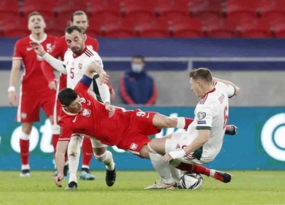 Hungary vs Serbia Live Streaming, Team Prediction, Live Score, Lineups, Kick-off Time: International Friendlies 2021-22