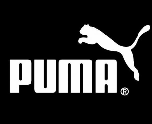 World Divyang T10 Premier League 2022 onboards Puma as sponsor for Season 2