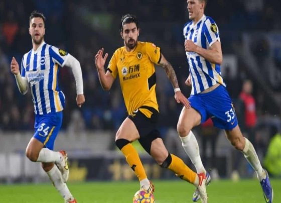 Wolverhampton Wanderers vs Brighton and Hove Albion Live Streaming, Live Score, WOL vs BHA Dream11 Team Prediction, Lineups, EPL Kick-off Time: English Premier League 2021-22