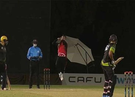 Emirates D20 2022: DUB vs EMB Dream11 Team Prediction, Dubai vs Emirates Blues Live Streaming, Fantasy Tips, Probable Playing XI