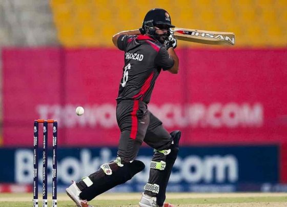 Emirates D20 2022: EMB vs ABD Dream11 Team Prediction, Emirates Blues vs Abu Dhabi Live Streaming, Fantasy Tips, Probable Playing XI