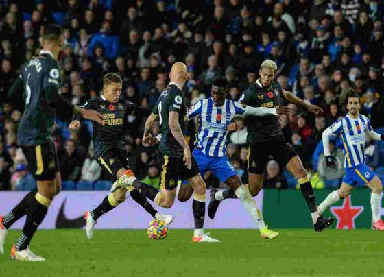 Brighton and Hove Albion vs Newcastle United Live Streaming, Live Score, Team Prediction, Lineups, EPL Kick-off Time: English Premier League 2021-22