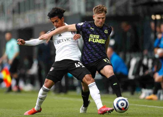 Fulham vs Newcastle United Live Streaming, Live Score, Team Prediction, Lineups, EPL Kick-off Time: English Premier League 2022