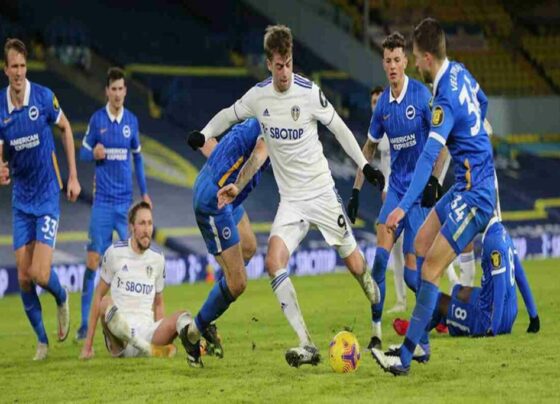 Leeds United vs Brighton & Hove Albion Live Streaming, Live Score, Team Prediction, Venue, Lineups, EPL Kick-off Time in India: English Premier League 2023