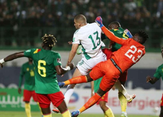Egypt vs Algeria Live Streaming, Team Prediction, Live Score, Today Lineups, Kick-off Time: International Friendlies 2023