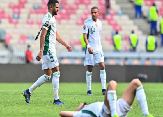 Guinea vs Gabon Live Streaming, Team Prediction, Live Score, Today Lineups, Kick-off Time: International Friendlies 2023