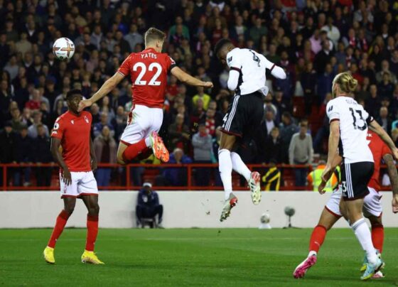 Fulham vs Nottingham Forest Live Streaming, Live Score, Team Prediction, Lineups, EPL Kick-off Time: English Premier League 2023