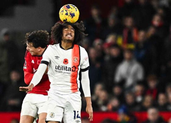 Luton Town vs Manchester City Live Streaming, Live Score, Team Prediction, Lineups, EPL Kick-off Time: English Premier League 2023