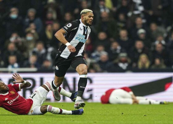 Newcastle United vs Manchester United Live Streaming, Live Score, Team Prediction, Lineups, EPL Kick-off Time: English Premier League 2023